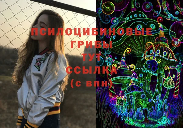 винт Баксан