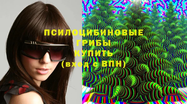 дживик Аркадак