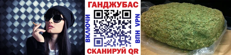 где купить наркоту  Заводоуковск  Марихуана сатива 